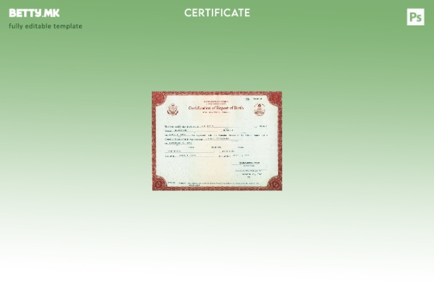 Модерен стил Шаблон за извод од матичната книга на родените на Стејт департменто